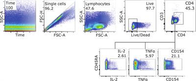 A single birth dose of Hepatitis B vaccine induces polyfunctional CD4+ T helper cells